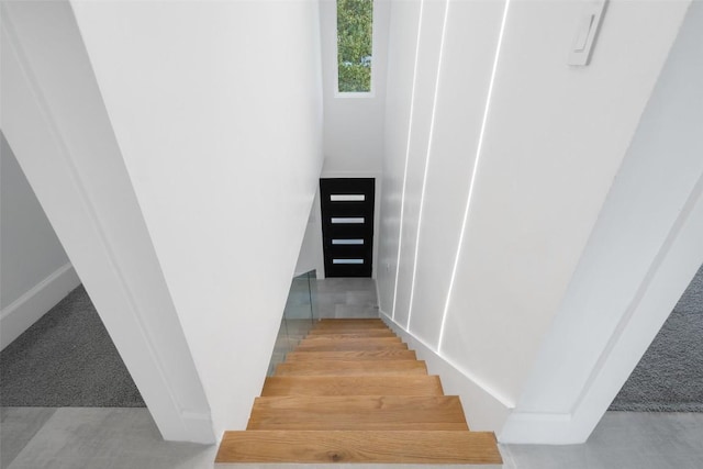 staircase with carpet floors