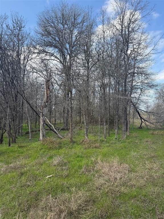 1904 Jasper St, Bastrop, TX 78602
