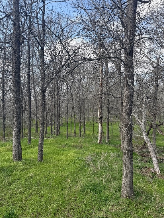 1904 Jasper St, Bastrop, TX 78602