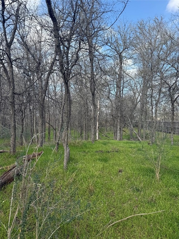 1904 Jasper St, Bastrop, TX 78602