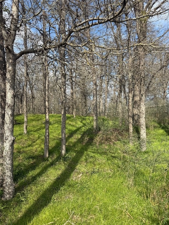 1904 Jasper St, Bastrop, TX 78602