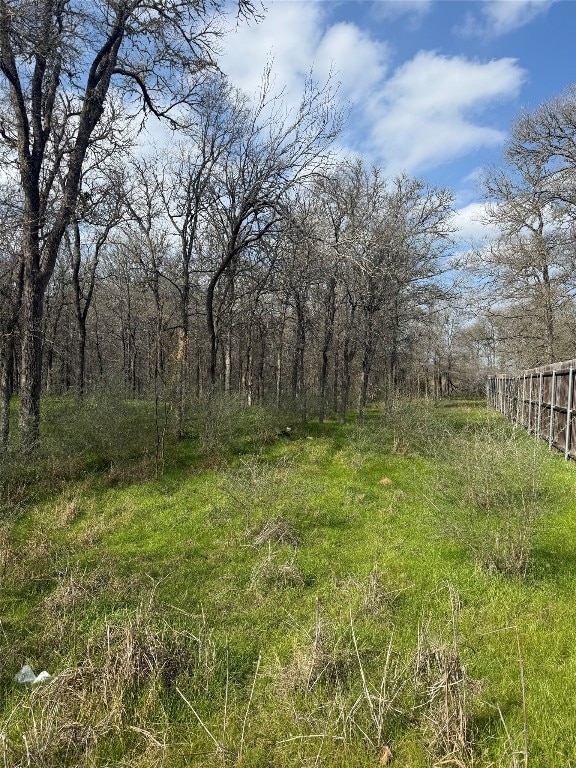 1904 Jasper St, Bastrop, TX 78602