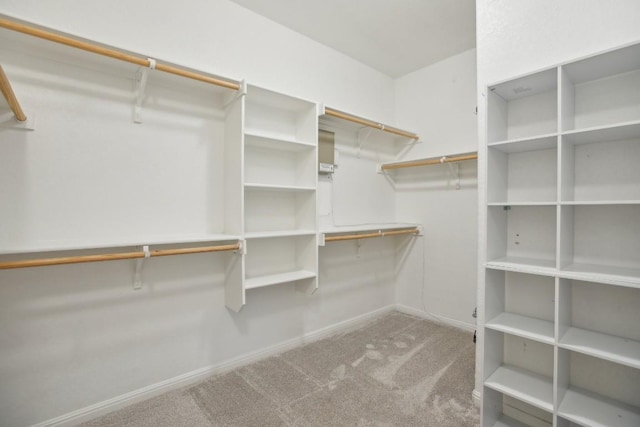 spacious closet featuring light colored carpet