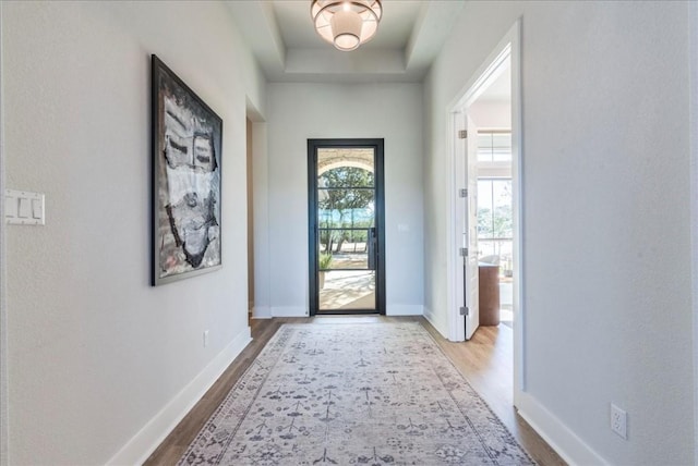 entryway featuring a tray ceiling and hardwood / wood-style flooring