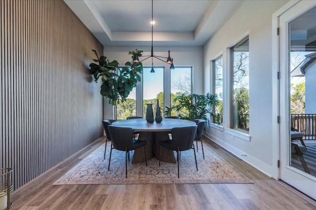 dining space featuring a raised ceiling and hardwood / wood-style floors