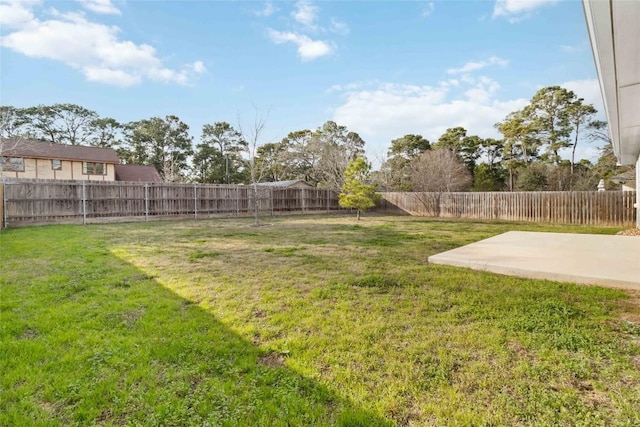 view of yard featuring a patio