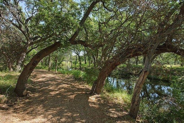 view of nature featuring a water view