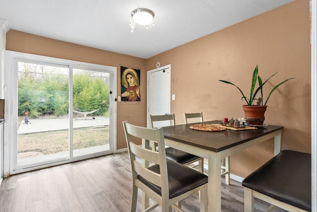 dining room with light hardwood / wood-style flooring