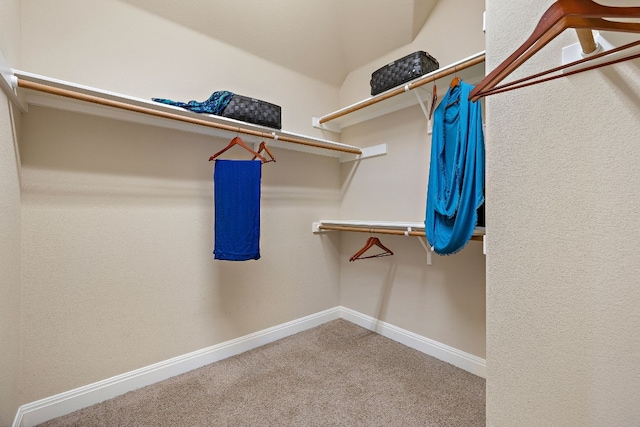 walk in closet with carpet