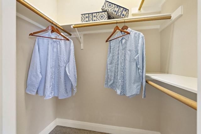 spacious closet with carpet floors