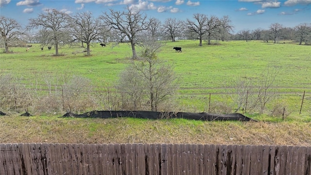 16817 Adoro Dr, Manor, TX 78653 - view of yard with a rural view and radiator heating unit
