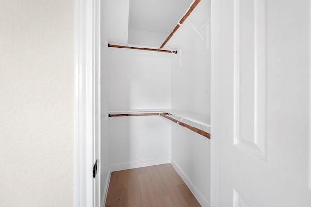 spacious closet featuring light hardwood / wood-style flooring