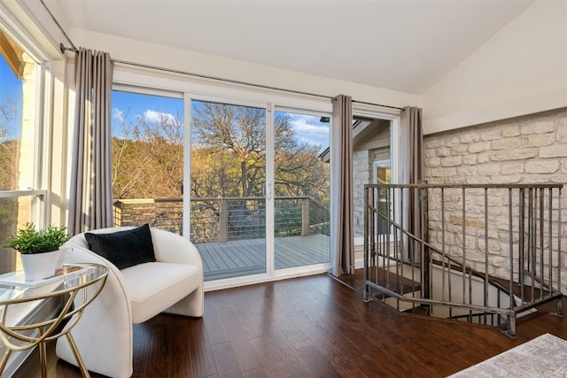 entryway featuring vaulted ceiling and dark hardwood / wood-style floors