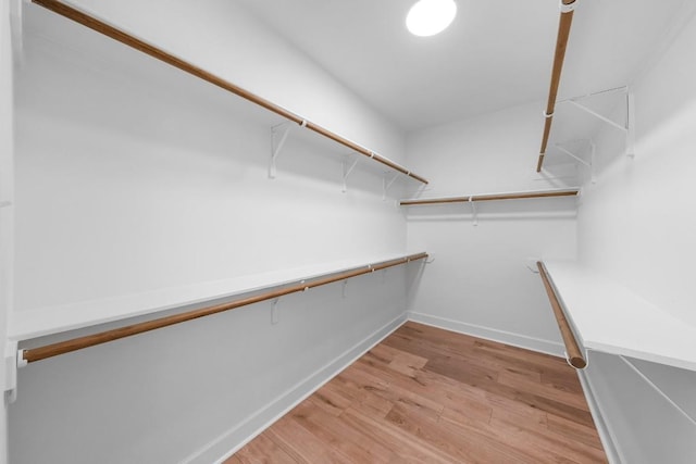 spacious closet featuring light hardwood / wood-style floors