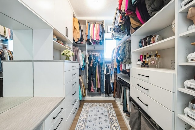 spacious closet featuring light hardwood / wood-style flooring