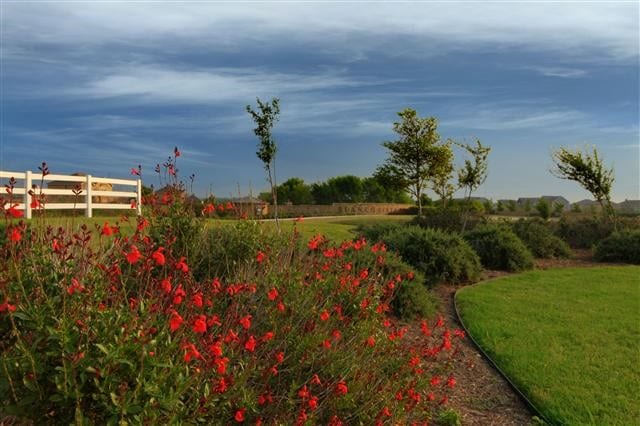 view of property's community featuring a yard