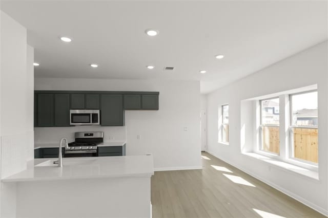 332 Witchhazel Way, San Marcos, TX 78666 - kitchen with stainless steel appliances, a sink, recessed lighting, light wood-type flooring, and light countertops