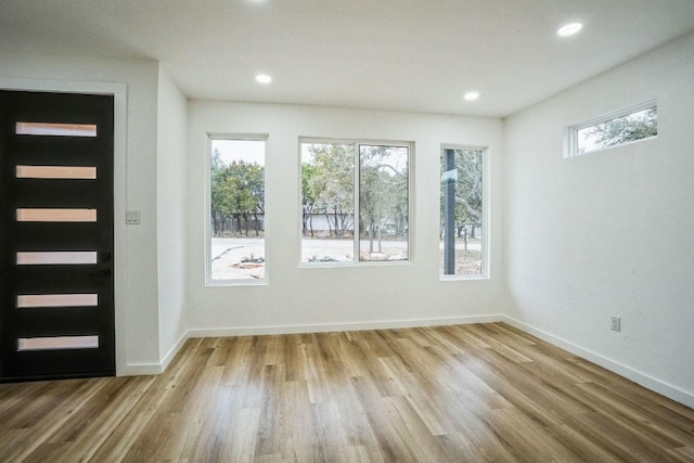 entryway featuring hardwood / wood-style flooring and plenty of natural light