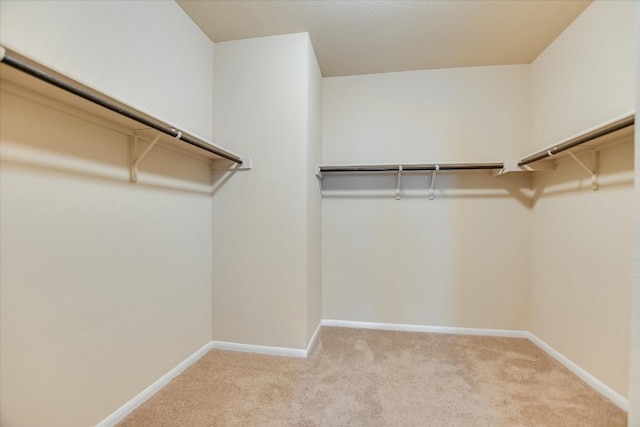 walk in closet featuring light colored carpet