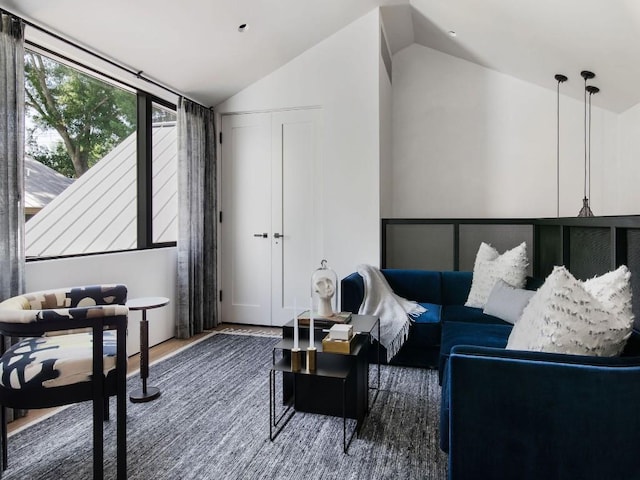 living room with lofted ceiling and dark hardwood / wood-style flooring