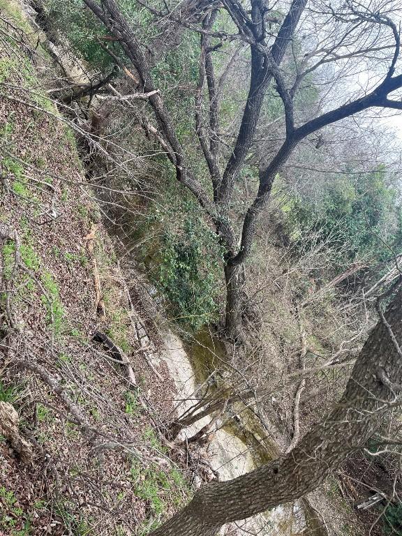 8303 Bluff Springs Rd, Austin, TX 78744 - photo 9