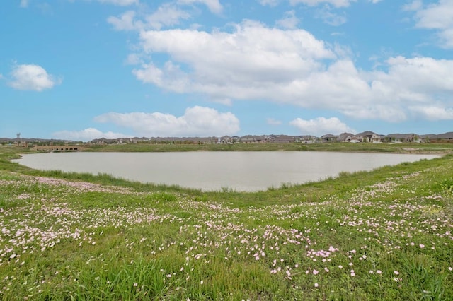 property view of water