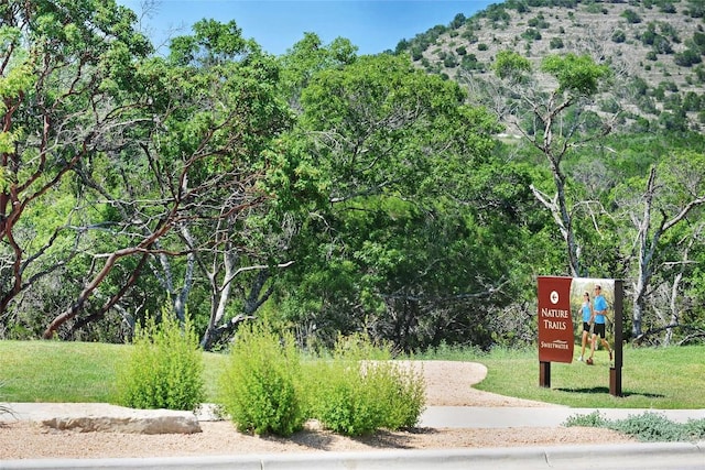 view of property's community featuring a mountain view