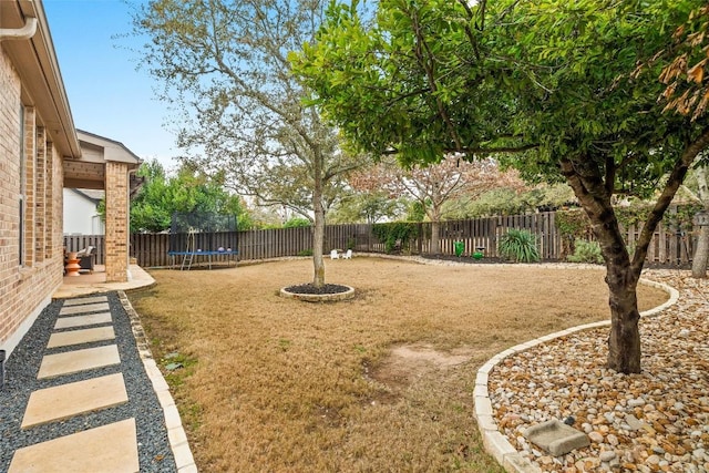 view of yard with a patio and a trampoline