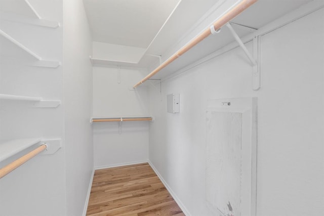 spacious closet with light hardwood / wood-style flooring