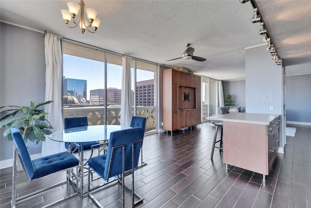 dining room with floor to ceiling windows, rail lighting, a textured ceiling, and a wealth of natural light