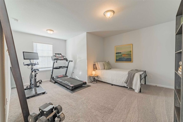 bedroom featuring carpet