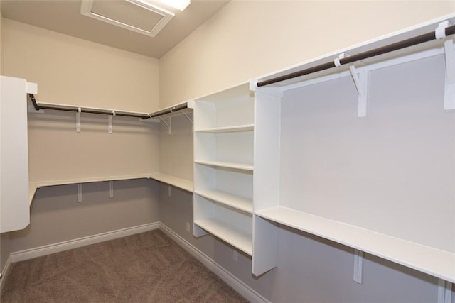 spacious closet with dark colored carpet