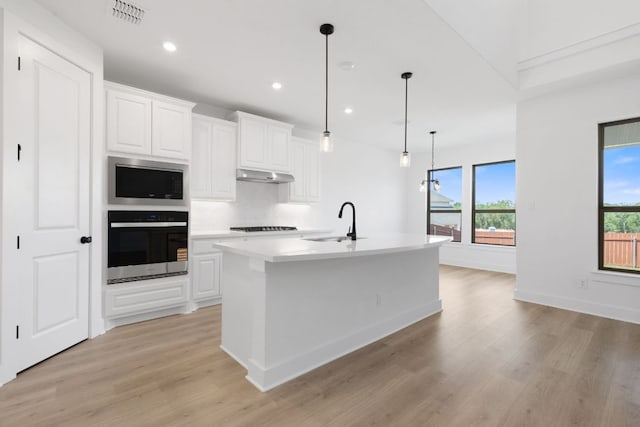 1235 Robin Trl, Round Rock, TX 78681 - kitchen with appliances with stainless steel finishes, under cabinet range hood, light wood-type flooring, light countertops, and recessed lighting