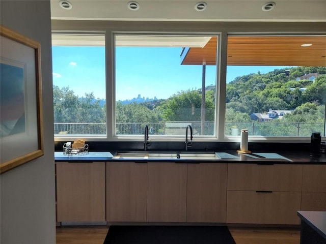 kitchen featuring sink and light wood-type flooring