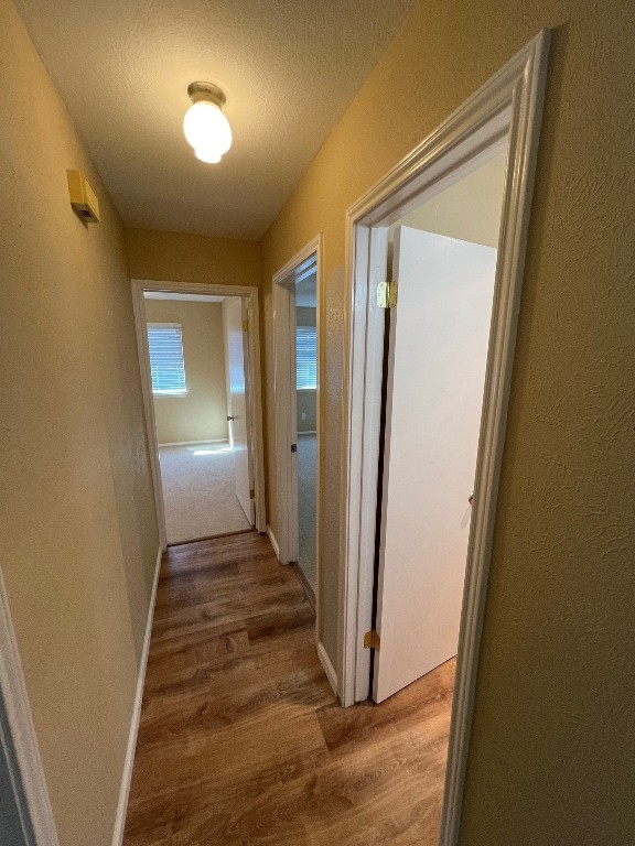 hallway featuring hardwood / wood-style flooring