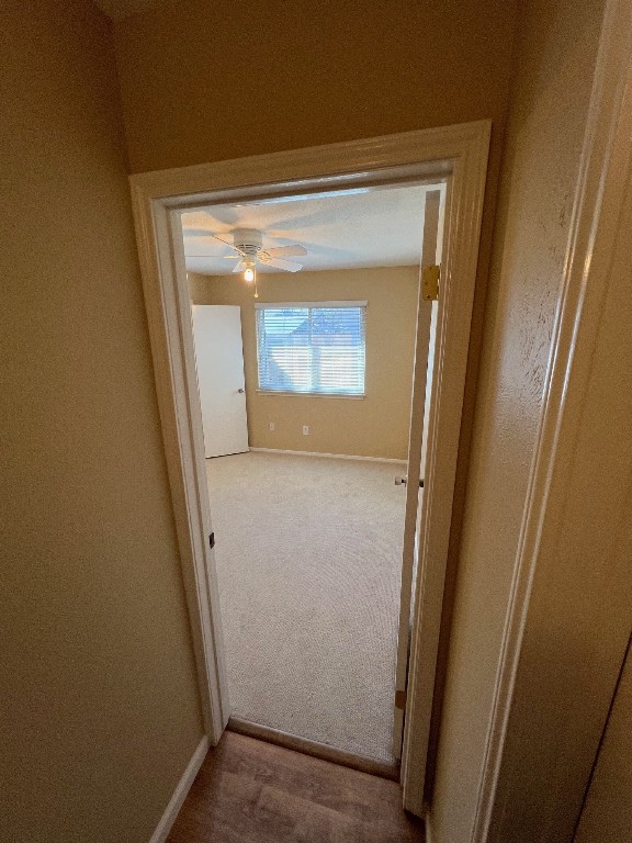 hallway with carpet floors