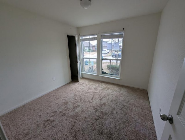 spare room with carpet