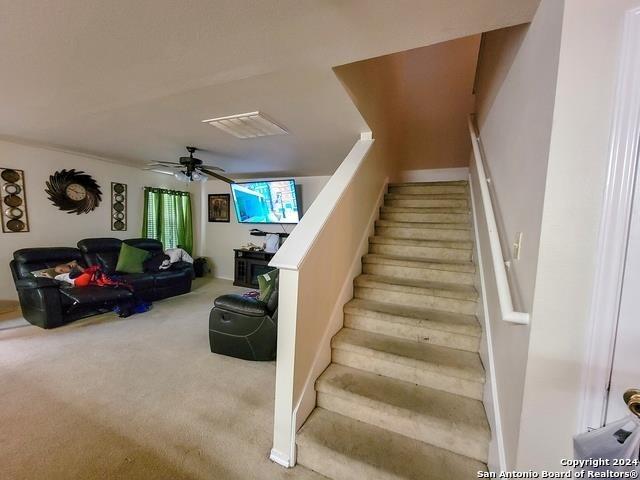 stairs with ceiling fan and carpet flooring