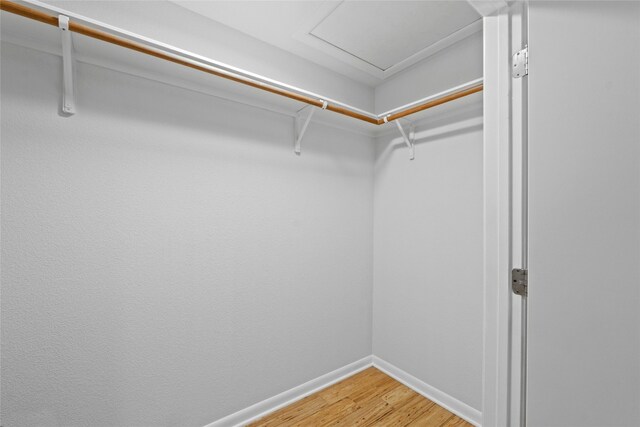 1304 Alamo St, Austin, TX 78702 - photo 17
