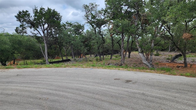 Listing photo 2 for 170 Night Wrangler Ln, Driftwood TX 78619