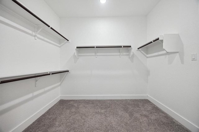 walk in closet featuring carpet flooring