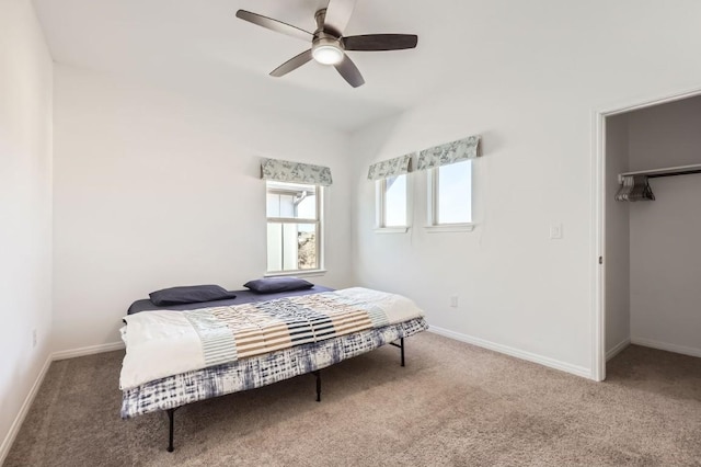 bedroom with a walk in closet, ceiling fan, and carpet