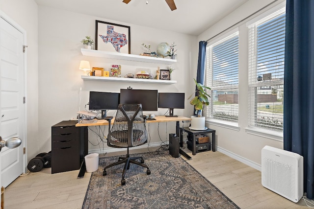 office space with light hardwood / wood-style floors and ceiling fan