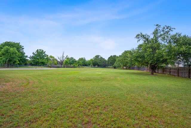 139 Jackrabbit Run, Round Rock, TX 78664 - view of yard