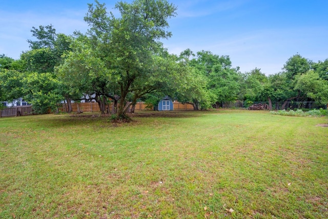 view of yard featuring a shed