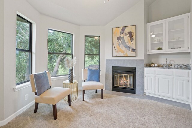 139 Jackrabbit Run, Round Rock, TX 78664 - living area with carpet, vaulted ceiling, a fireplace, and baseboards
