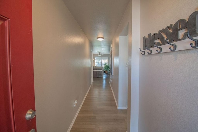 hall featuring wood-type flooring