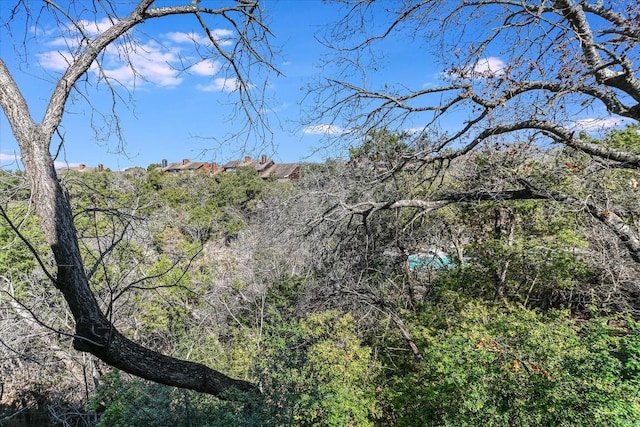 view of nature featuring a wooded view