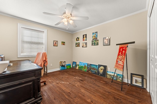 office space featuring ornamental molding, ceiling fan, and dark hardwood / wood-style flooring