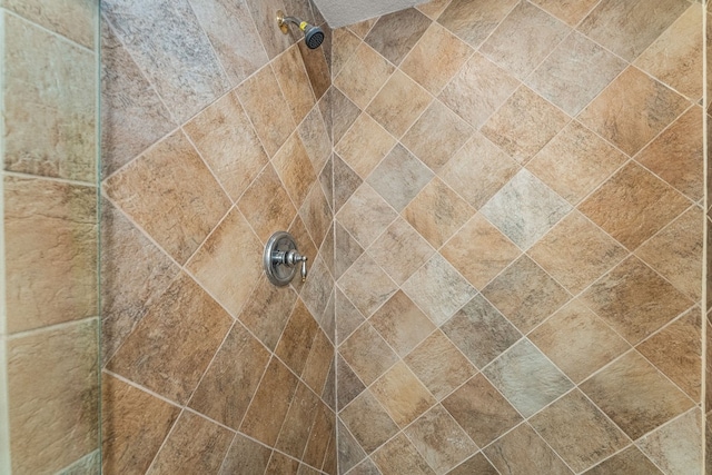 room details with tiled shower